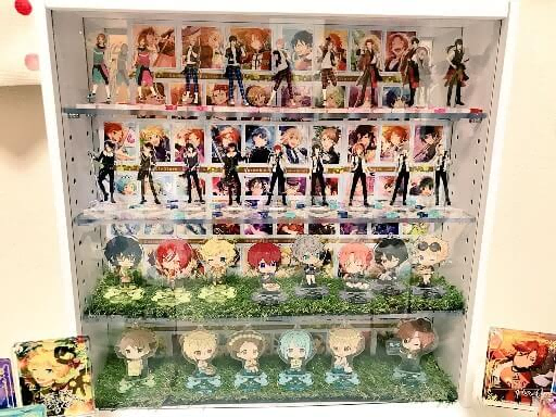 Collector Displays Collector Displays