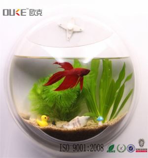 Clear Acrylic Aquariums