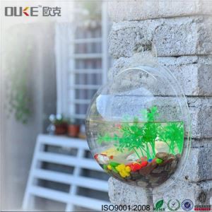 Wall Mounted Acrylic Fish Bowl
